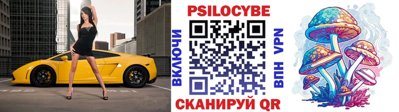 blacksprut зеркало  Динская  Галлюциногенные грибы Cubensis 